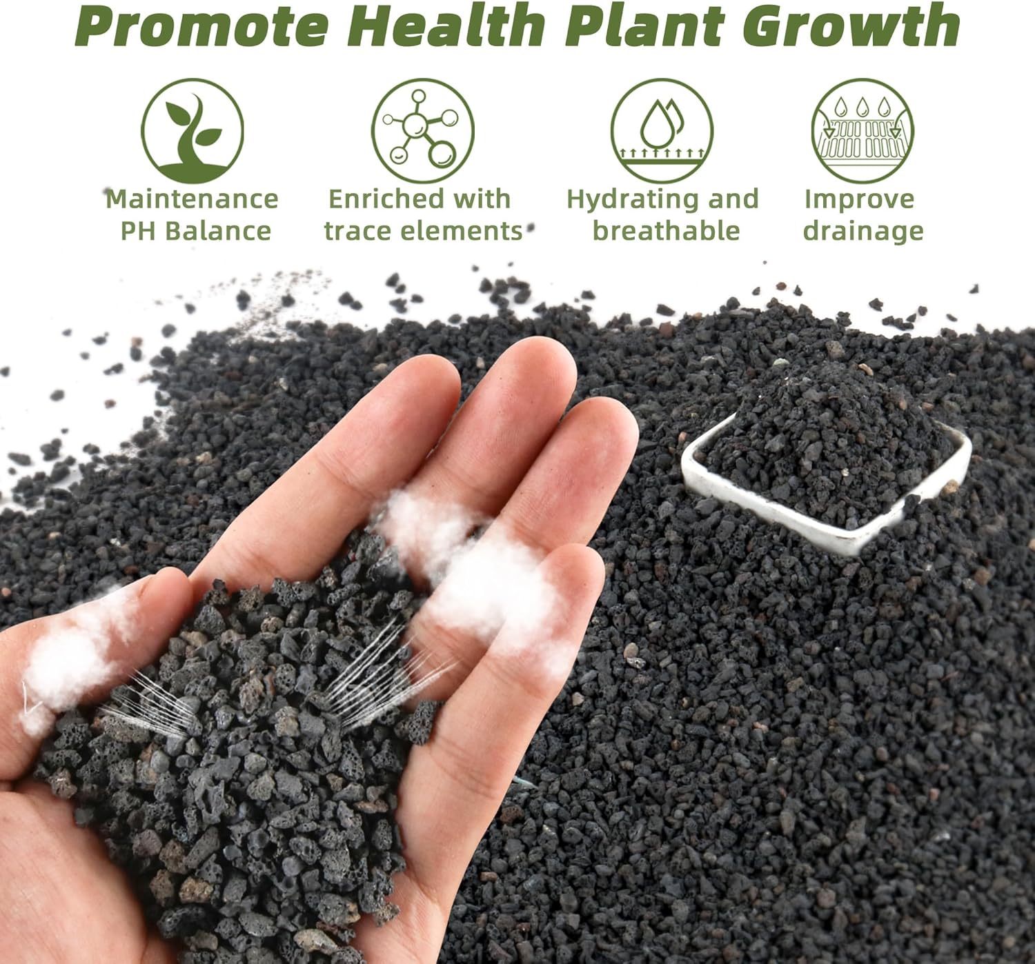 Plant Aquarium Pot - 3lb Black Aquarium Filter Media, Decorative