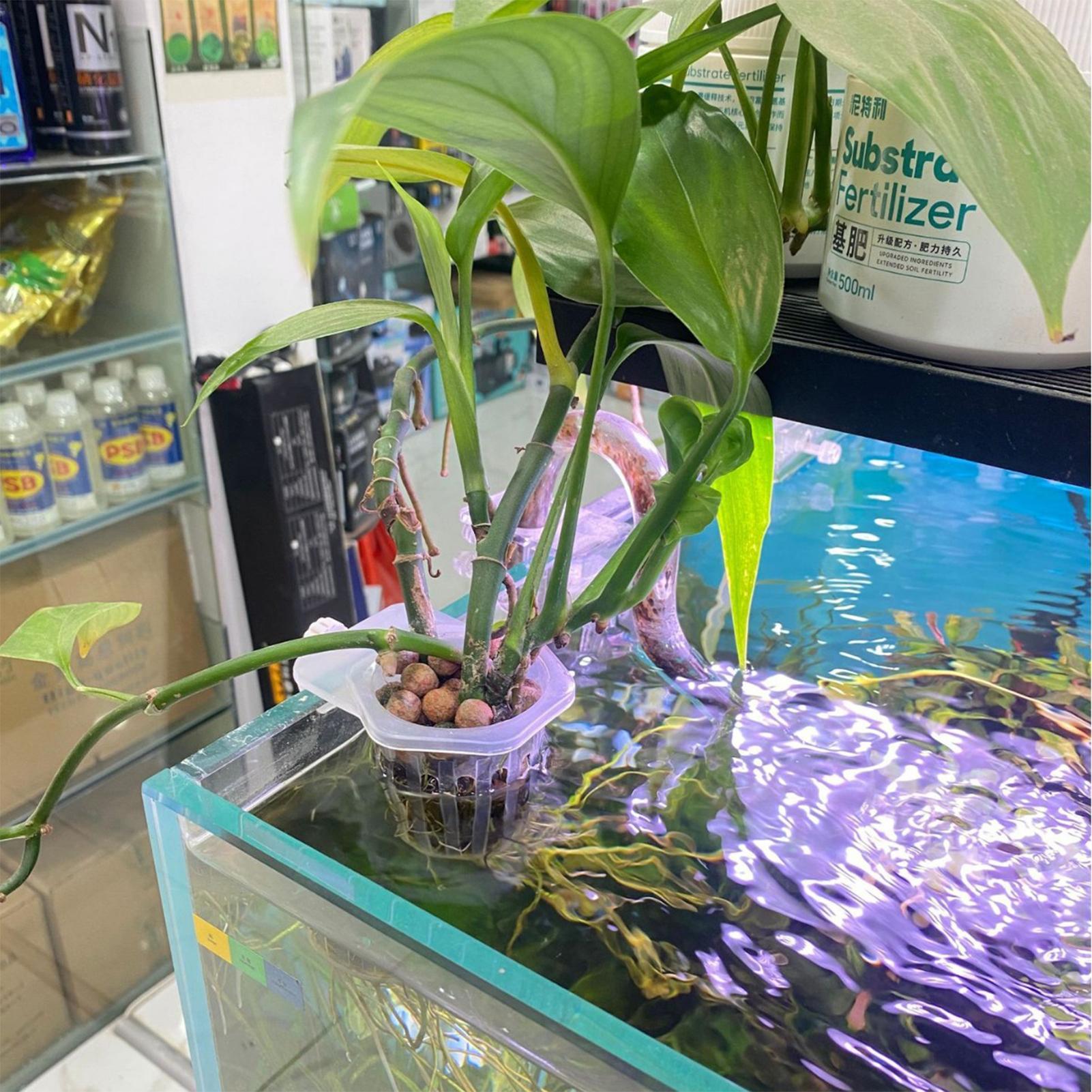 Plant Aquarium Pot - 2pcs Fish Tank Planting Cup Hydroponic
