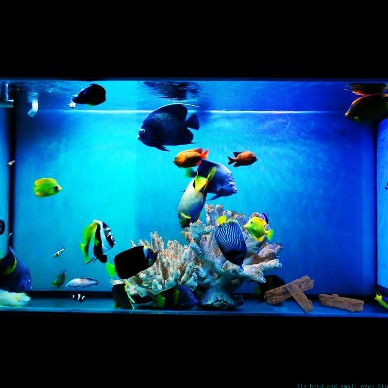 Aquarium Decoration Tree Trunk - Aquarium Plant Substrate recension och pris