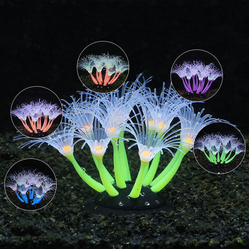 Silicone Glowing Landscape Art - Aquarium Plants Live recension och pris