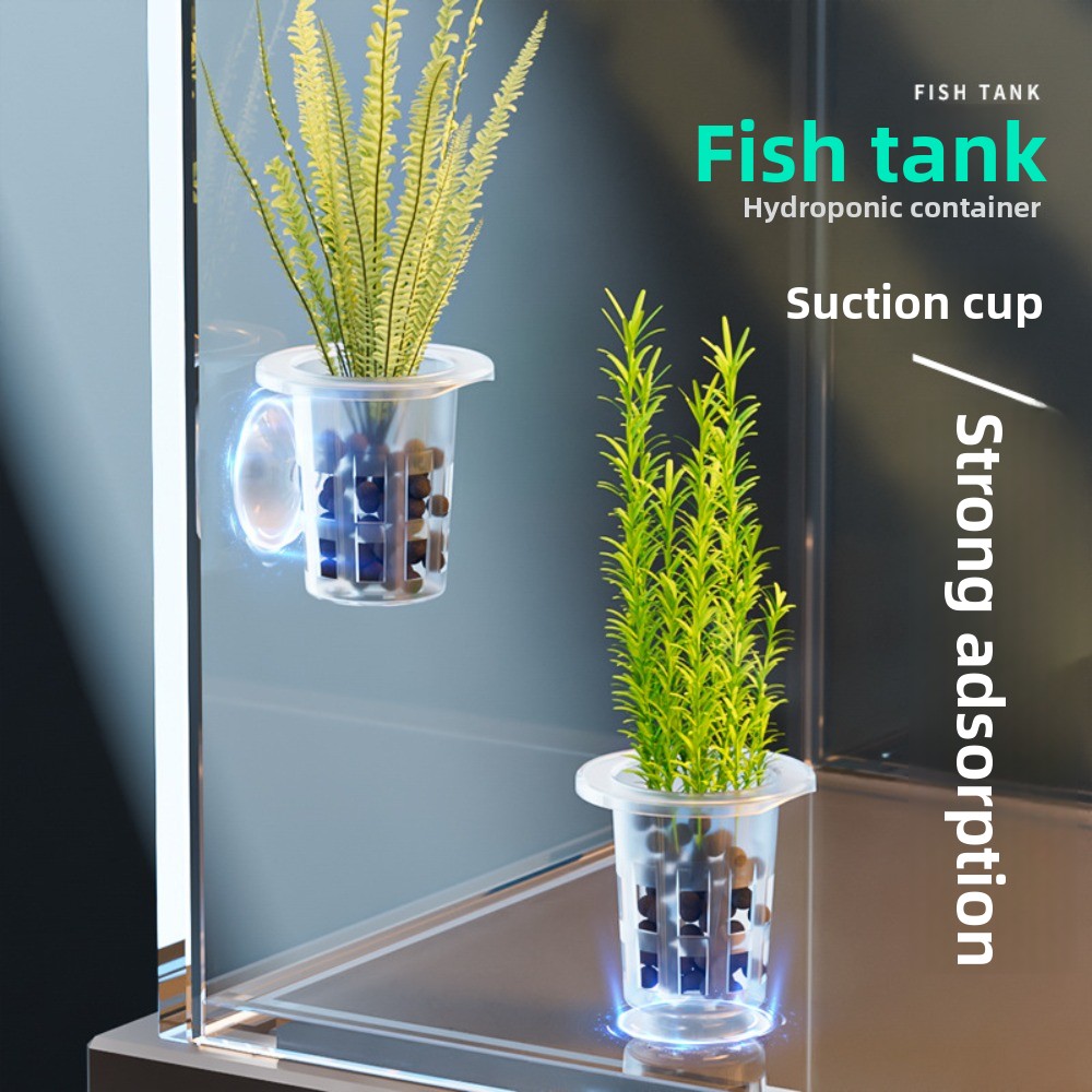 10Pcs Transparent Plant Hydrop - Aquarium Plants Live recension och pris