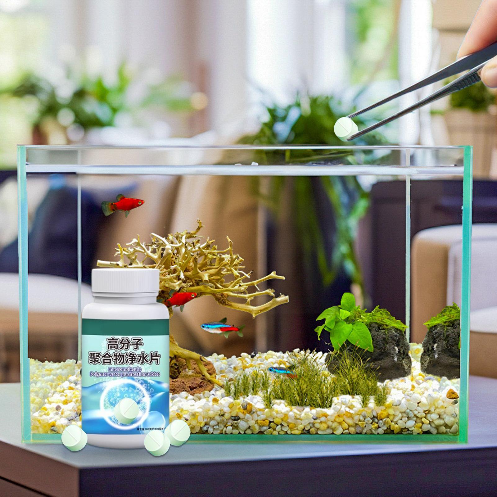 Fish Can Algae Remover Aquariu - Aquarium Liquid Carbon recension och pris