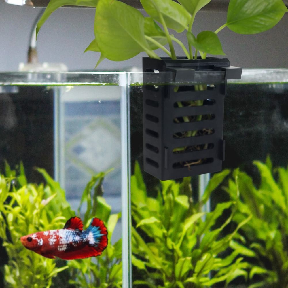Aquarium Fish Tank Plant Holde - Aquarium Plant Holder recension och pris