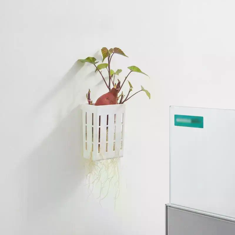 1Pcs Hydroponic Support Basket - Planted Tank recension och pris