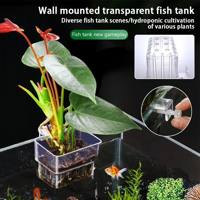 Aquarium Hanging Planter Cups  - Aquarium Plants Live recension och pris