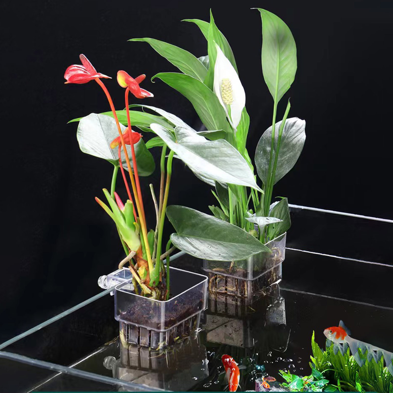 Clear Acrylic Plant Holder Hyd - Aquarium Plant Holder recension och pris