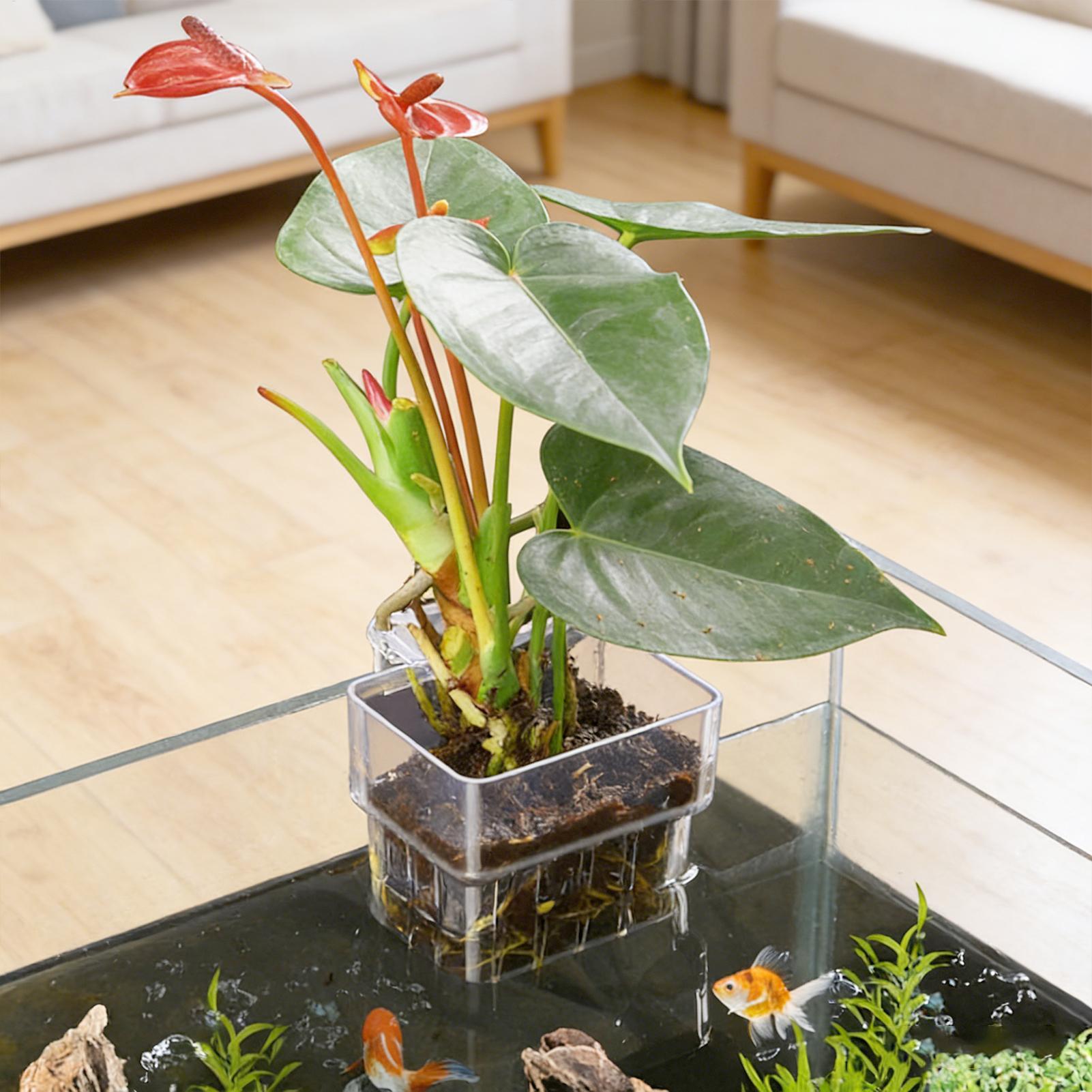 Aquarium Plant Basket Transpar - Plant Aquarium Pot recension och pris