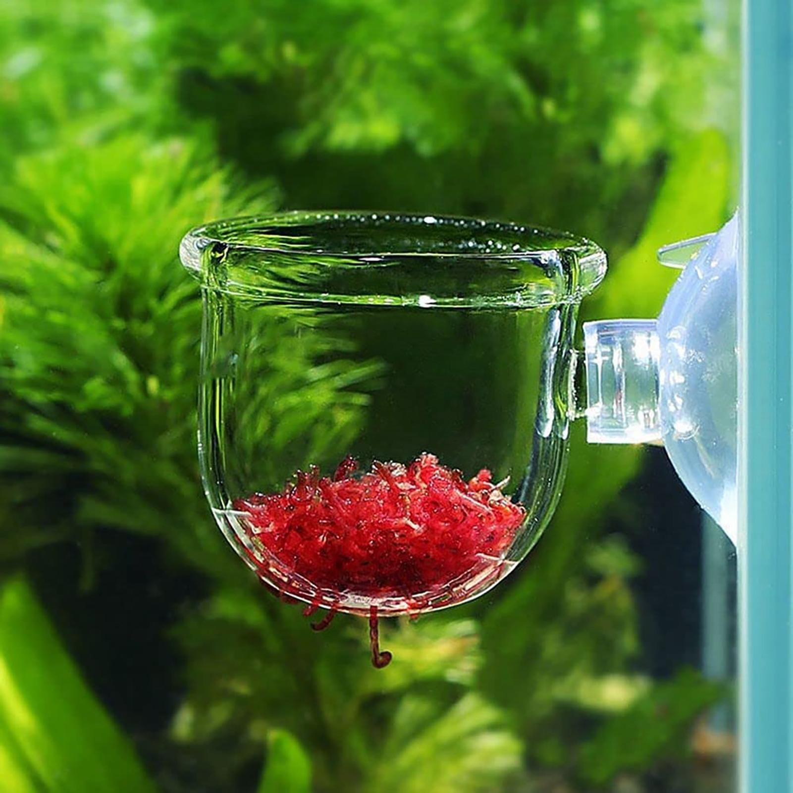 Aquarium Decoration Plant Cup  - Plant Aquarium Pot recension och pris
