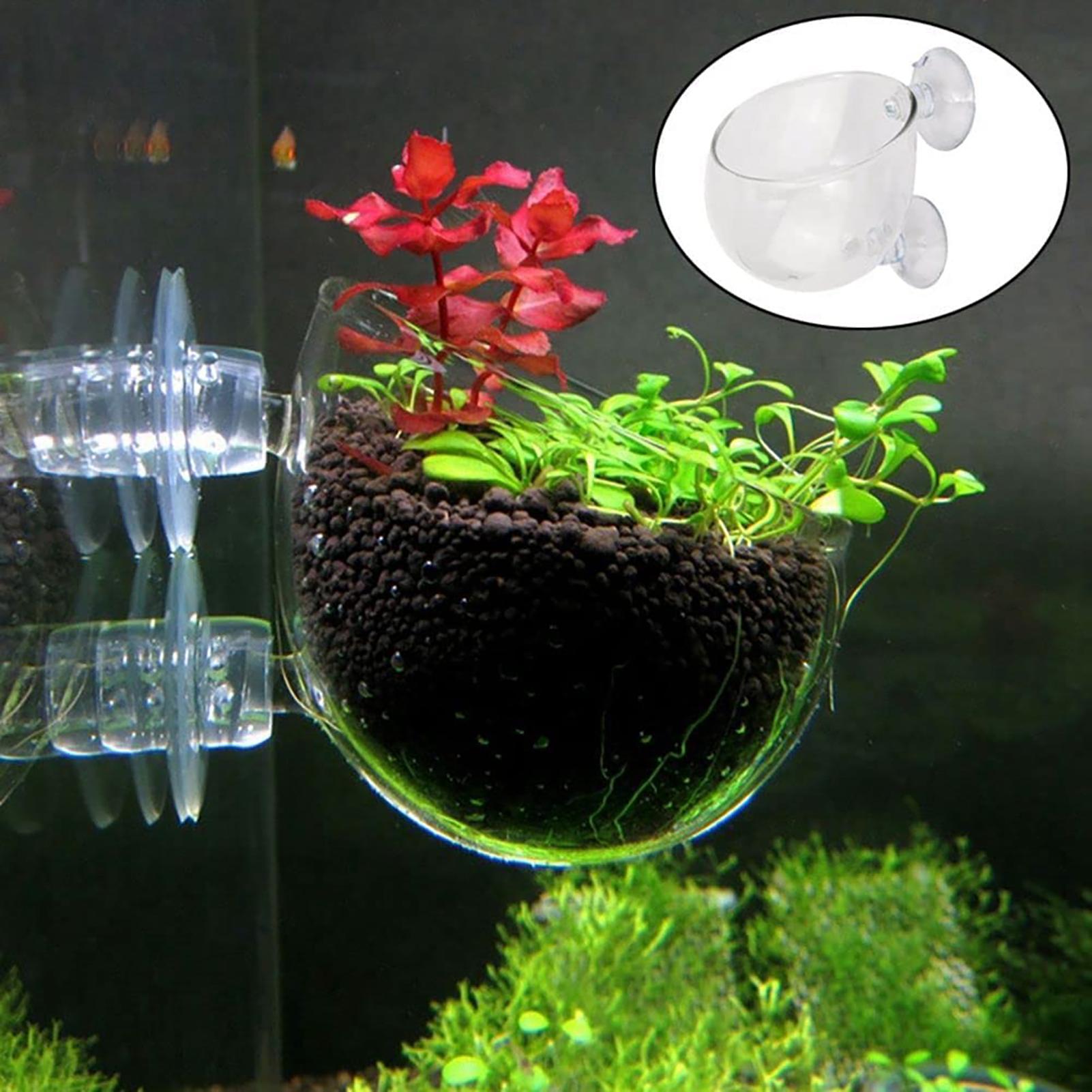 Aquarium Decoration Plant Cup  - Plant Aquarium Pot recension och pris
