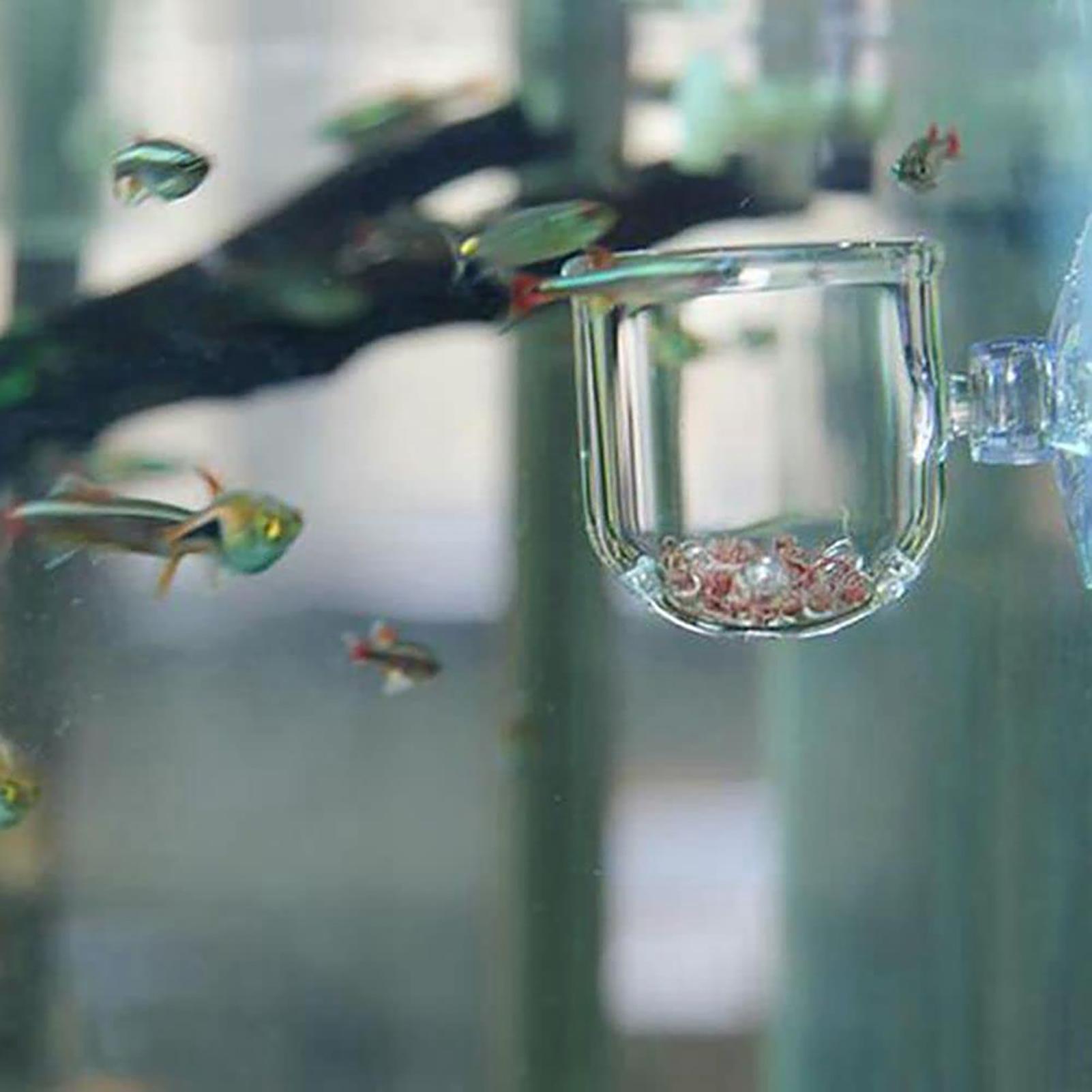 Aquarium Decoration Plant Cup  - Plant Aquarium Pot recension och pris