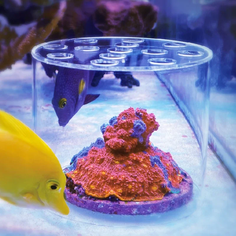 Vastocean Aquarium Arcylic Cor - Aquarium Fertilizer recension och pris