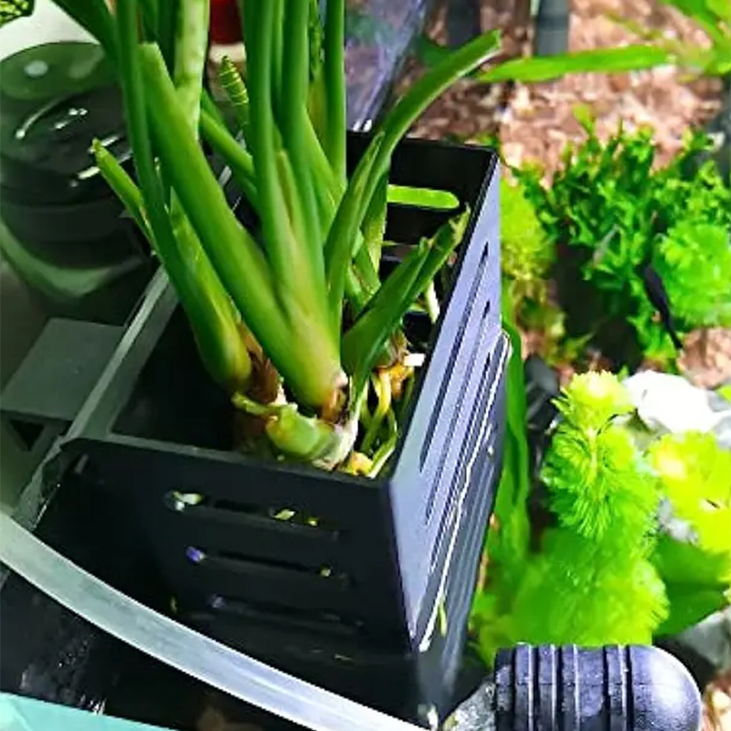Pet Fish Tank Decorations Aqua - Aquarium Plants Live recension och pris