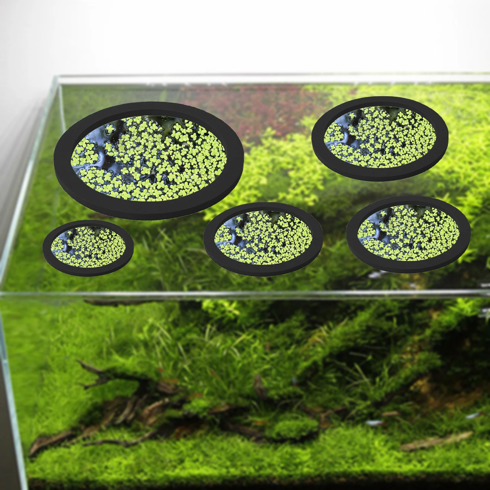 5Pcs EVA Fish Feeding Ring Aqu - Planted Tank recension och pris