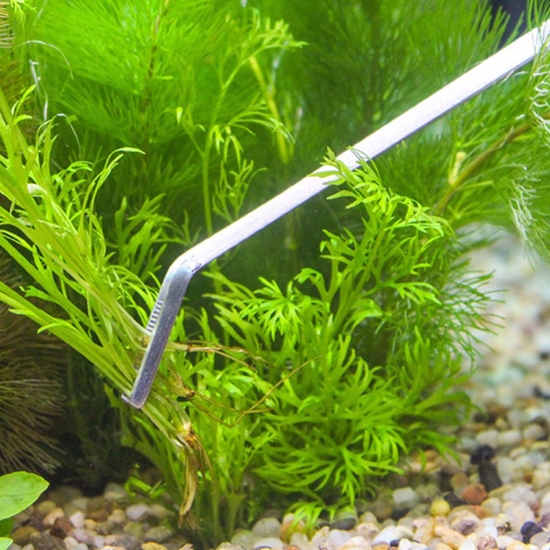 Professional Aquarium Maintena - Aquarium Plants Live recension och pris