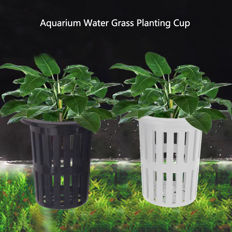 1/3Pcs Aquarium Plant Basket W - Aquarium Plants Live recension och pris