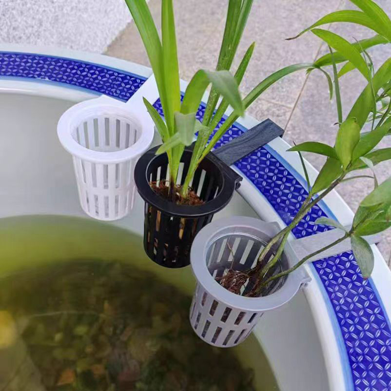 1/3Pcs Aquarium Plant Basket W - Aquarium Plants Live recension och pris