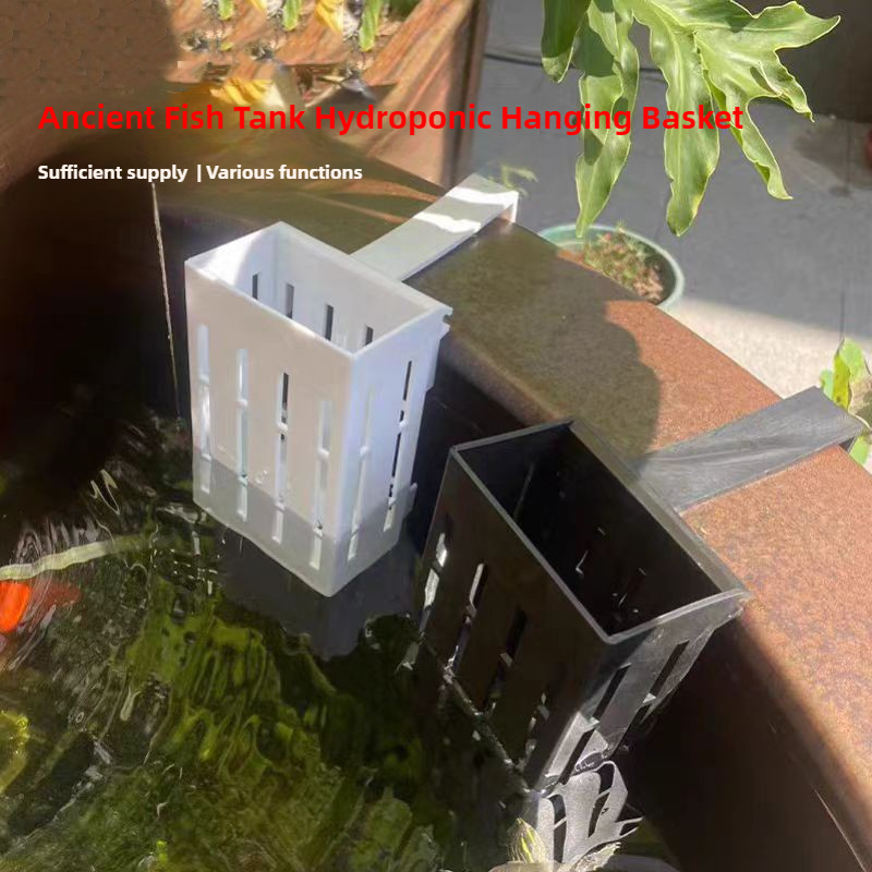 1/3Pcs Aquarium Plant Basket W - Aquarium Plants Live recension och pris
