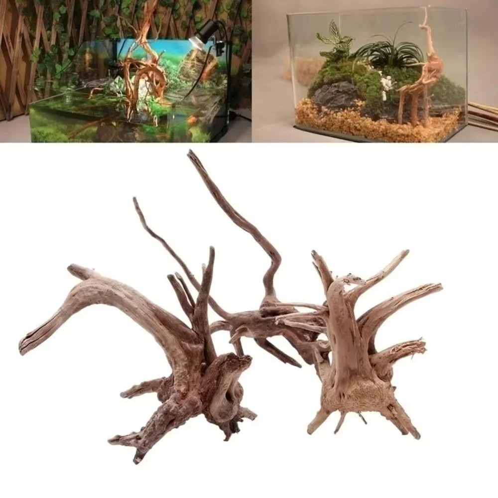15-20CM Natural Driftwood Aqua - Aquarium Moss recension och pris