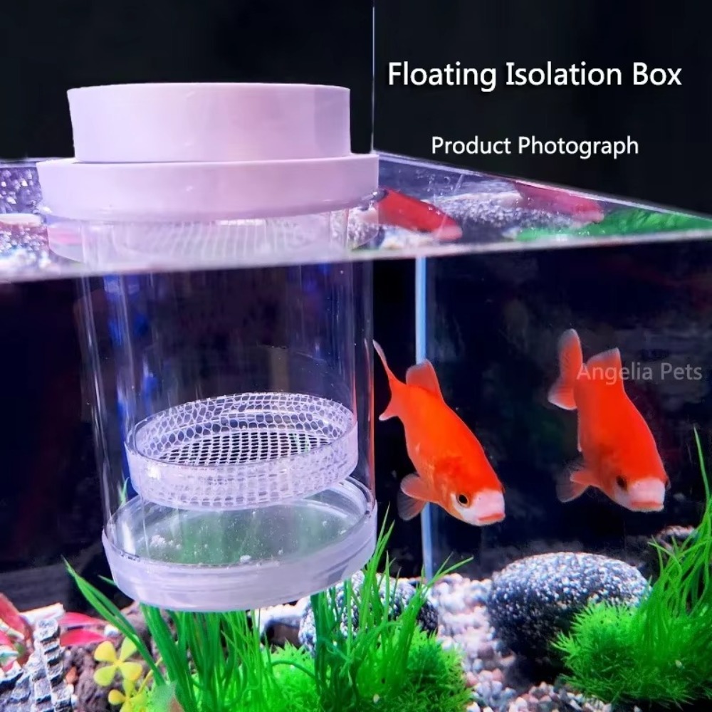 Plastic Floating Fish Breeding - Aquarium Fertilizer recension och pris