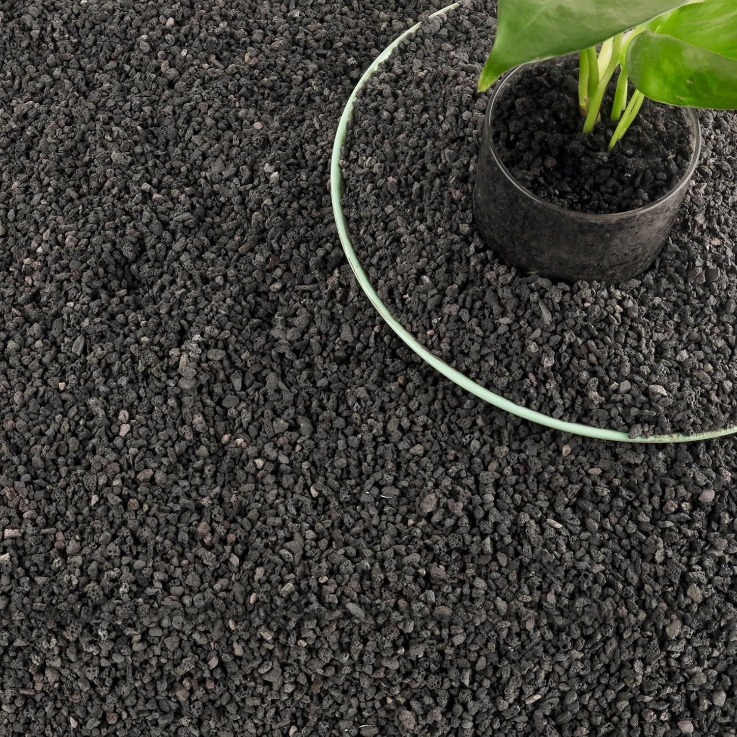 3lb Black Aquarium Filter Medi - Plant Aquarium Pot recension och pris