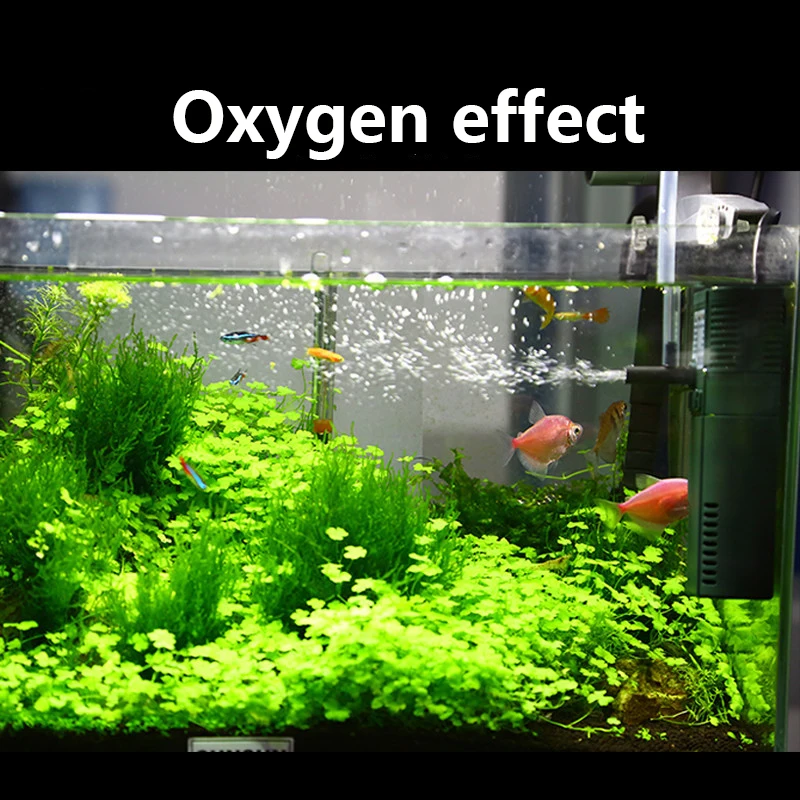 SUNSUN Mini Nano 111B 311B 611 - Aquarium Planted Tank Filter recension och pris